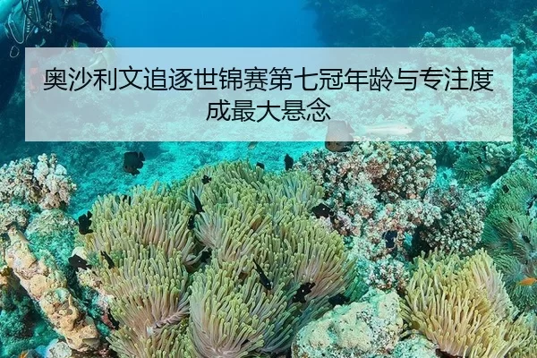 奥沙利文追逐世锦赛第七冠年龄与专注度成最大悬念